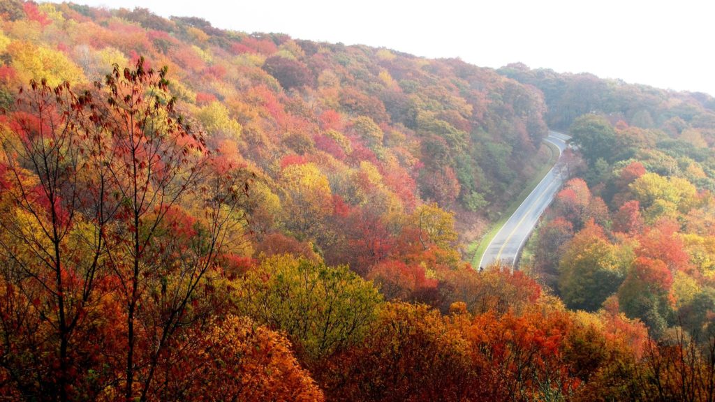 Cherohala Skyway trail