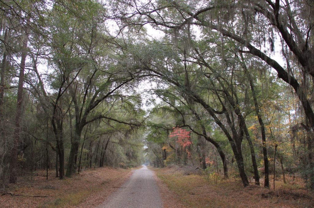 Savannah River Site